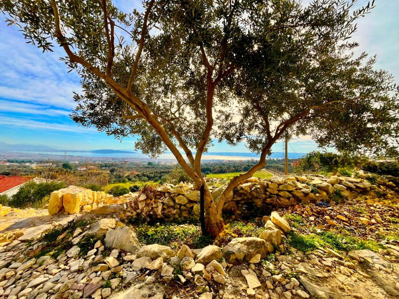 Villa Bepina, Surrounded By Sea, Olive, Vineyard Kastel Novi Luaran gambar